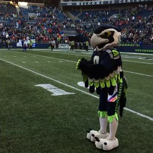 Image post by @blitztheseahawk on Instagram