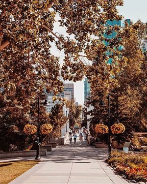 Image post by @cityofcalgary on Instagram
