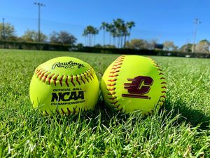Image post by @cmichsoftball on Instagram
