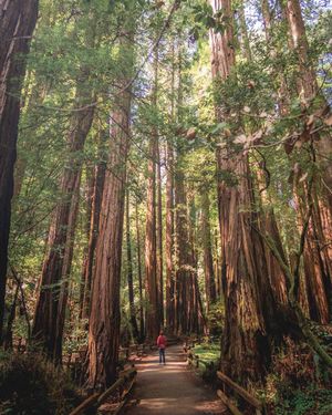 Image post by @zanderbetterton on Instagram