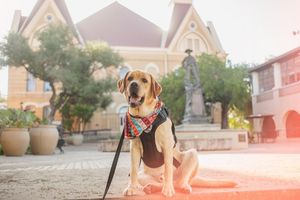 Image post by @txst on Instagram
