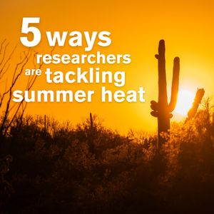 Image post by @arizonastateuniversity on Instagram