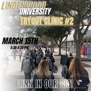 Image post by @lulionlinedance on Instagram