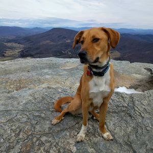 Image post by @jonathn_roberts on Instagram