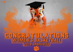 Image post by @clemsonwbb on Instagram