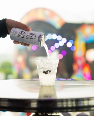 Image post by @riot_fest on Instagram