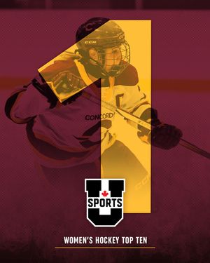Image post by @the_stingers on Instagram