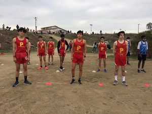Image post by @palma_school on Instagram