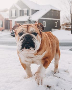 Image post by @trevorfrench on Instagram