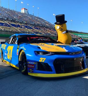 Image post by @mrpeanutofficial on Instagram