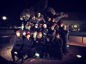 Image post by @gobearcatswsoc on Instagram