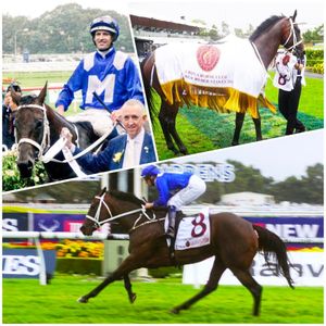 Image post by @australianturfclub on Instagram