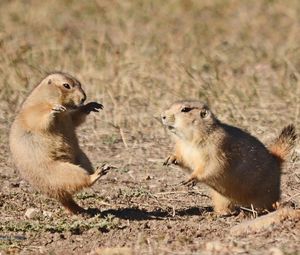 Image post by @nationalparkservice on Instagram