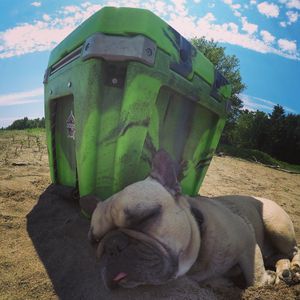 Image post by @nicktroutmankayak on Instagram