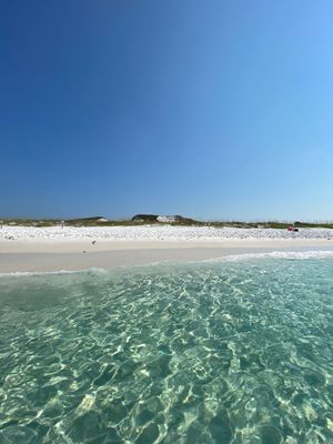Image post by @SouthWalton on Twitter