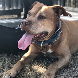 Image post by @manningsumner on Instagram