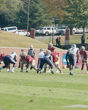 Image post by @elonfb on Instagram