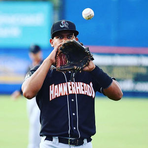Image post by @gohammerheads on Instagram