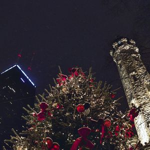 Image post by @willtrogdon on Instagram