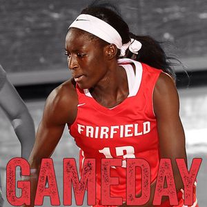 Image post by @fairfieldstags on Instagram
