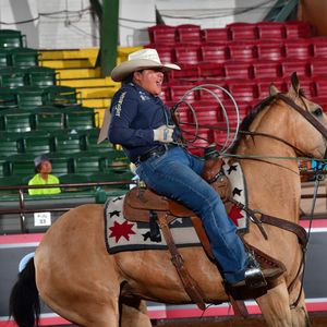 Image post by @womensrodeo on Instagram