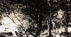 Image post by @_roxy_art._ on Instagram