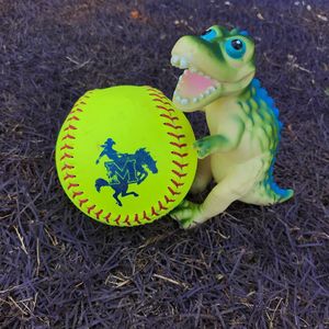 Image post by @msucowgirlsoftball on Instagram