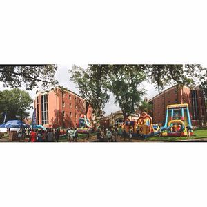 Image post by @uofmemphis on Instagram