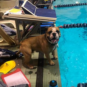 Image post by @yaleswimdive on Instagram