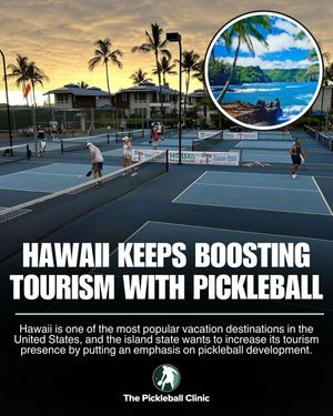 Image post by @thepickleballclinic on Instagram