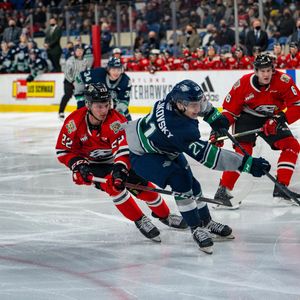 Image post by @crawmedia on Instagram