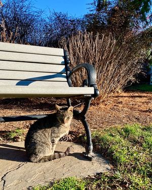 Image post by @hofstrau on Instagram