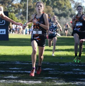 Image post by @dyestat on Instagram