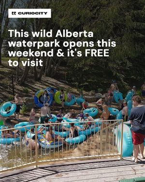 Image post by @curiocitycalgary on Instagram