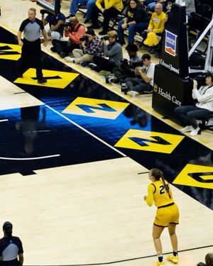 Image post by @mizzouwbb on Instagram