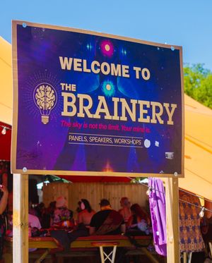 Image post by @electric_forest on Instagram
