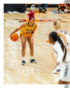 Image post by @uapblionswbb on Instagram