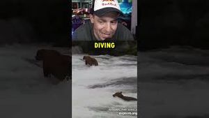 Video post by @grandpoobear on YouTube