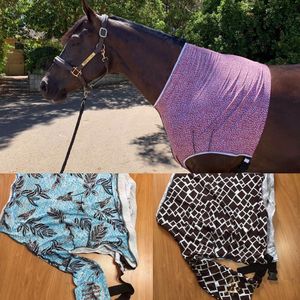 Image post by @flynhighhorsewear on Instagram