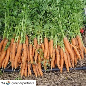 Image post by @mainlinehealth on Instagram