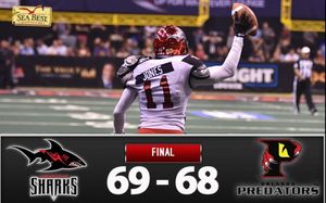 Image post by @jaxsharks on Instagram