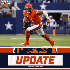 Image post by @bearsszn on Instagram