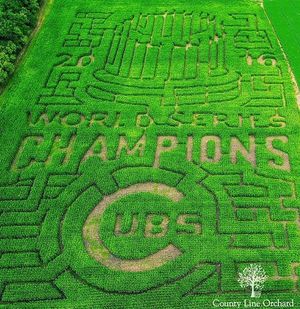 Image post by @chicagocubsnation on Instagram