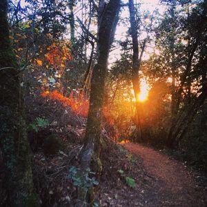 Image post by @bikerumor on Instagram