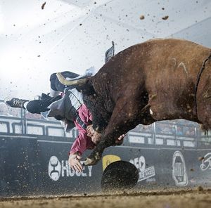 Image post by @bullfightersonly on Instagram