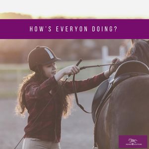 Image post by @equineidsolutions on Instagram