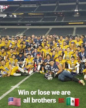 Image post by @usnft on Instagram