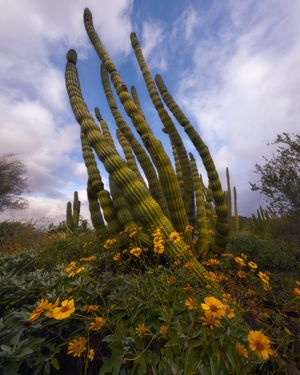Image post by @canonusa on Instagram