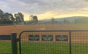 Image post by @equineidsolutions on Instagram