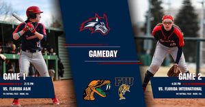 Image post by @stonybrooksb on Instagram